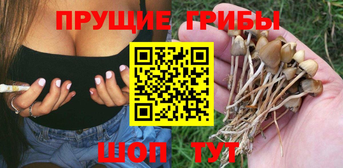 что такое   Галлюциногенные грибы прущие грибы  Вход с VPN  Бугуруслан  Галлюциногенные грибы мицелий 